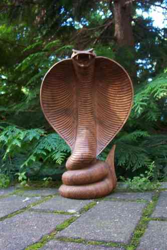 Cobra aus Bali- Schlange Snake Kobra ca. 35 cm Suar Holz Handarbeit Holzfigur