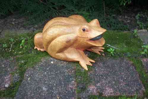 Frosch mit Glücksmünze im Mund Jempinis Holz Handarbeit Holzfigur