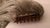 Haarteil -LEONIE- Grau- Schwarz -2 IN 1- Haarspange Solida Bel Hair